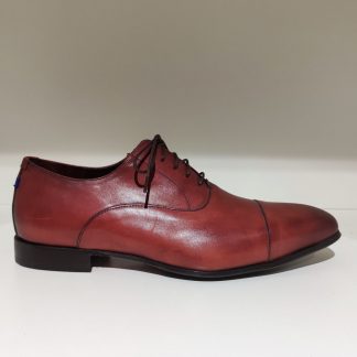 Floris van Bommel Gilli 01.00 cognac